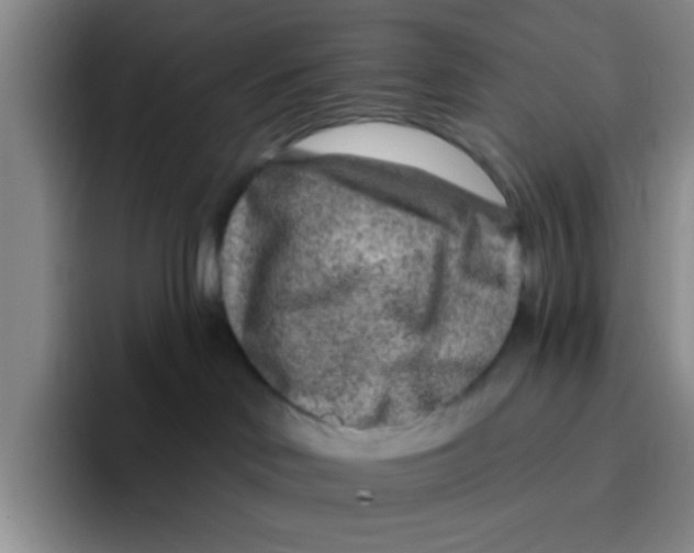 X0000096170046200802151443