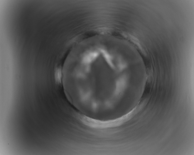 X0000096170047200802151443