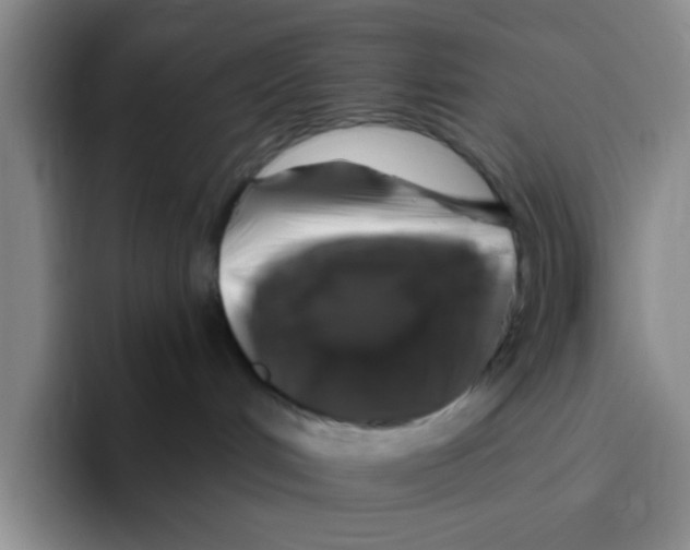 X0000096170048200802151443