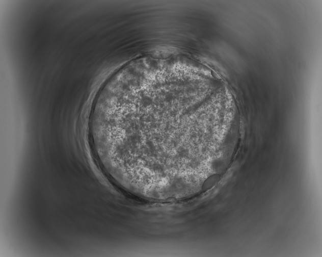 X0000096170049200802151443