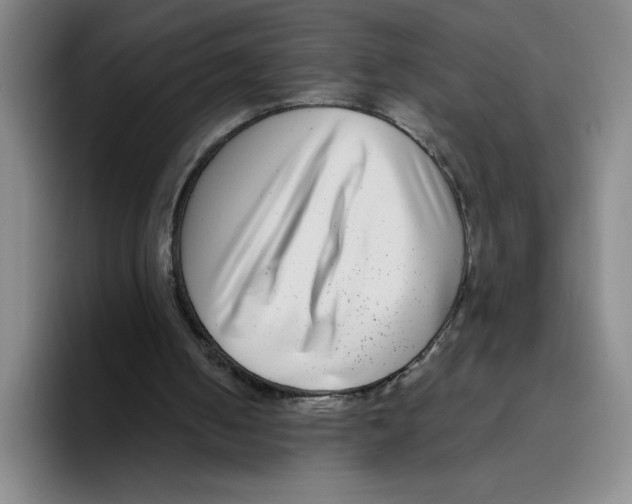 X0000096170050200802151443