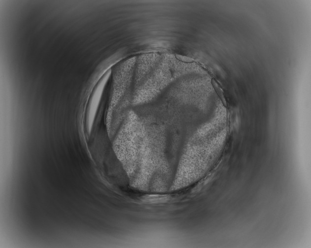 X0000096170051200802151443