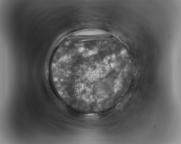 X0000096170053200802151443