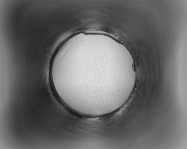 X0000096170054200802151443