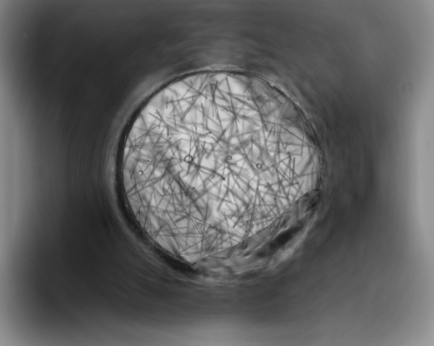 X0000096170055200802151443