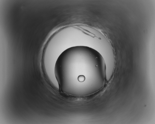 X0000096170056200802151443