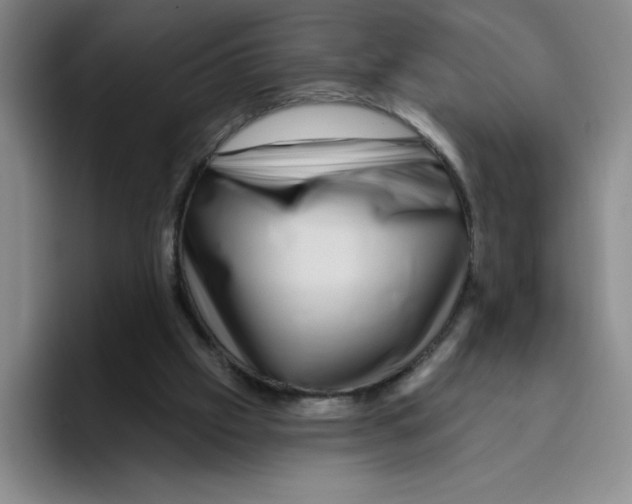 X0000096170057200802151443
