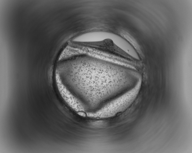 X0000096170058200802151443