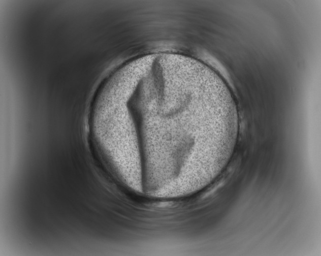 X0000096170059200802151443