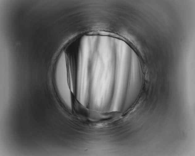 X0000096170060200802151443