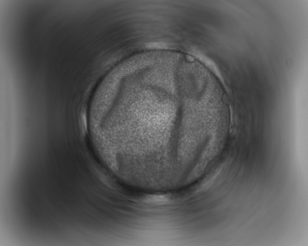 X0000096170061200802151443