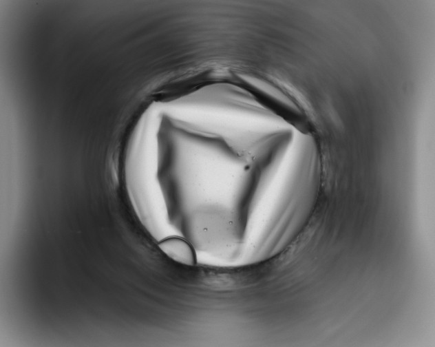 X0000096170062200802151443