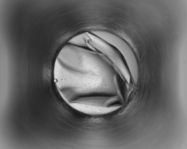 X0000096170063200802151443