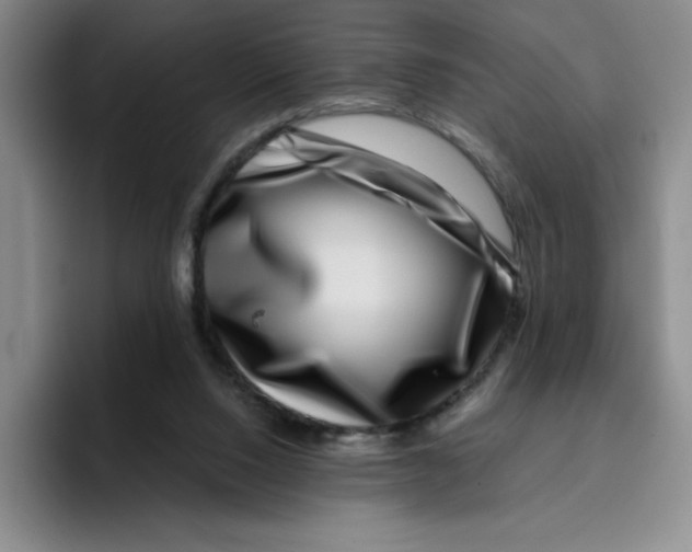 X0000096170064200802151443