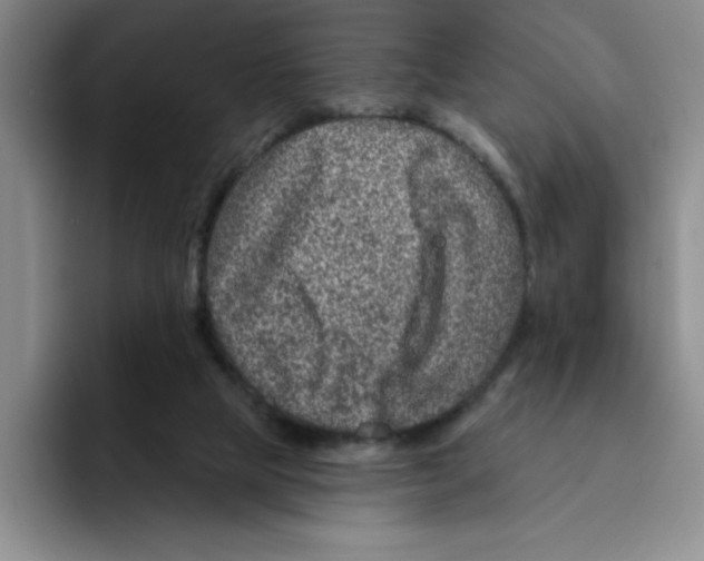X0000096170065200802151443