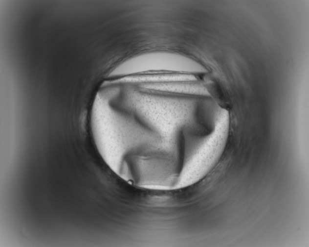 X0000096170066200802151443