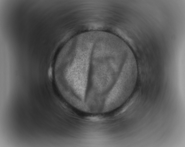 X0000096170067200802151443