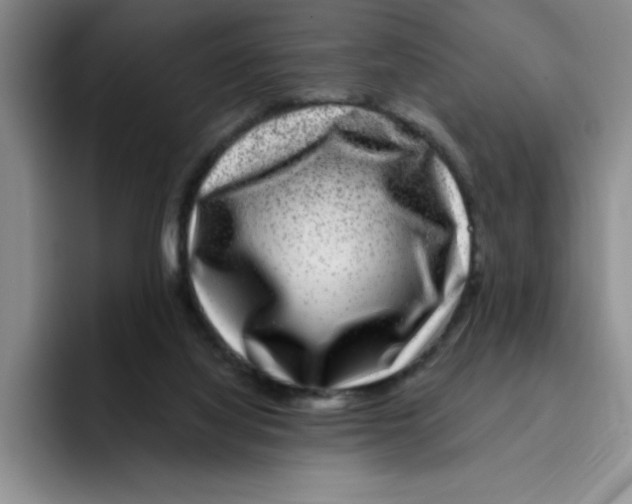 X0000096170068200802151443