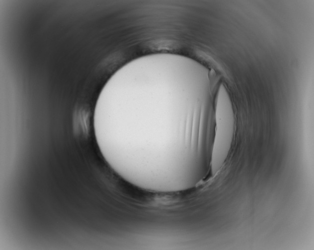 X0000096170070200802151443