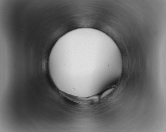 X0000096170071200802151443