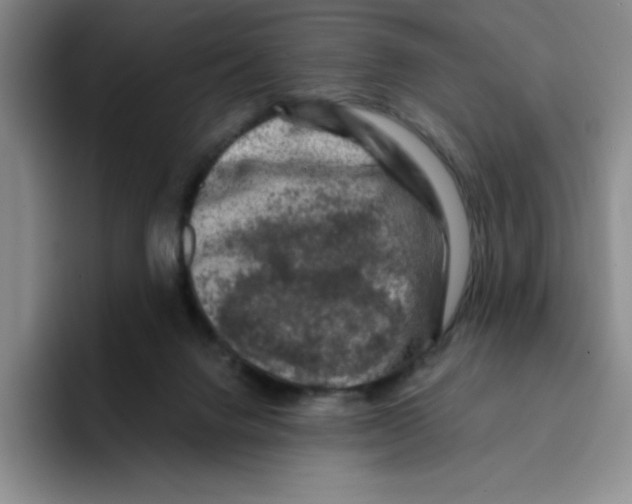 X0000096170072200802151443