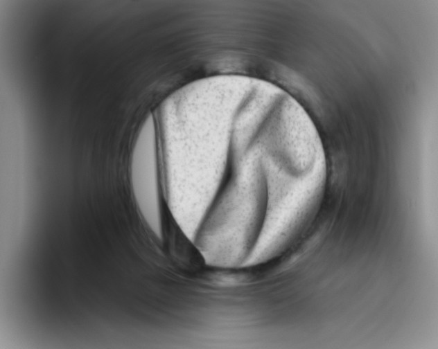 X0000096170073200802151443