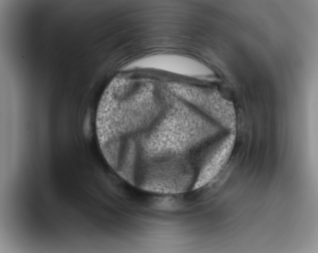 X0000096170074200802151443