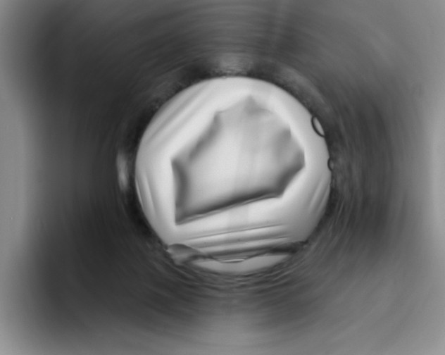 X0000096170075200802151443