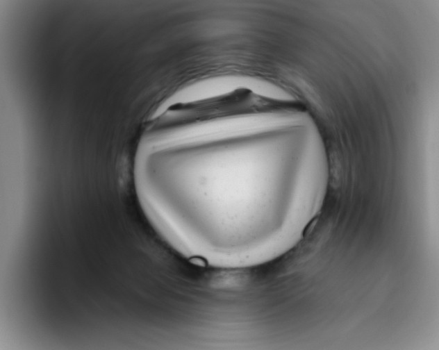 X0000096170077200802151443