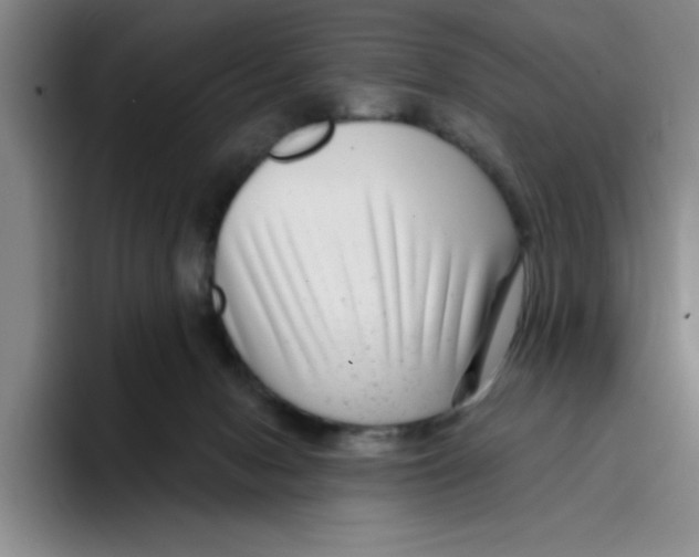 X0000096170078200802151443