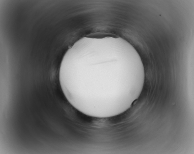 X0000096170079200802151443