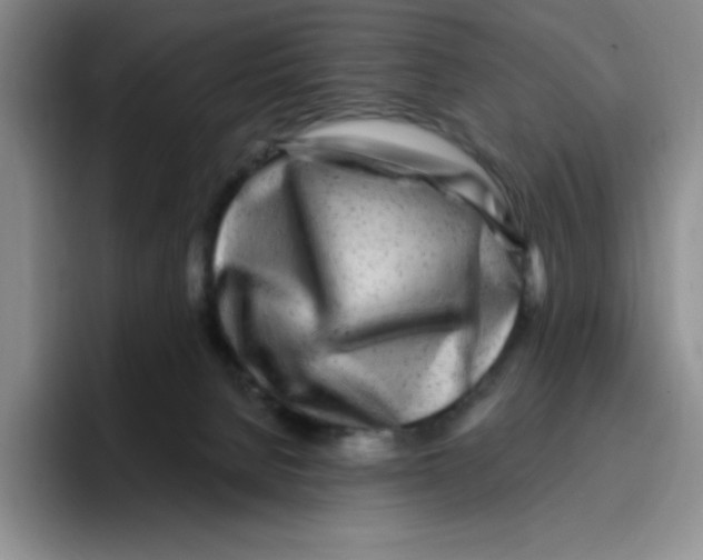 X0000096170080200802151443
