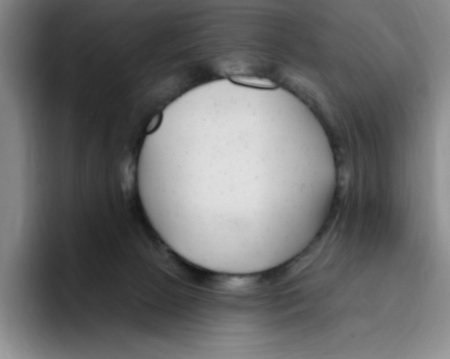 X0000096170081200802151443