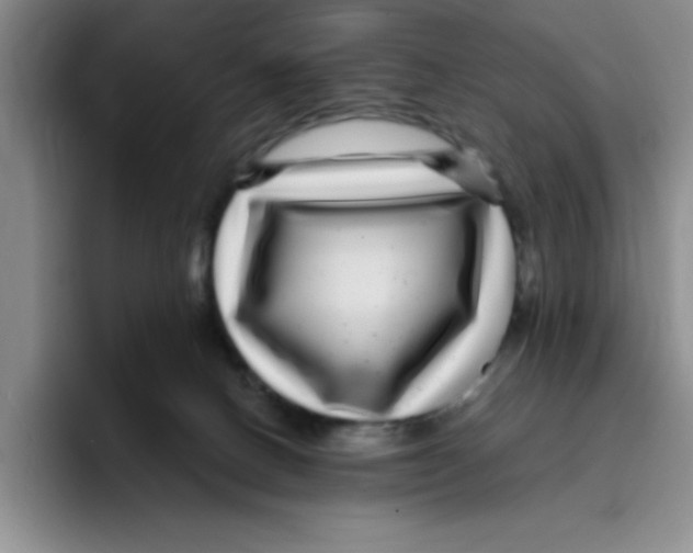 X0000096170082200802151443