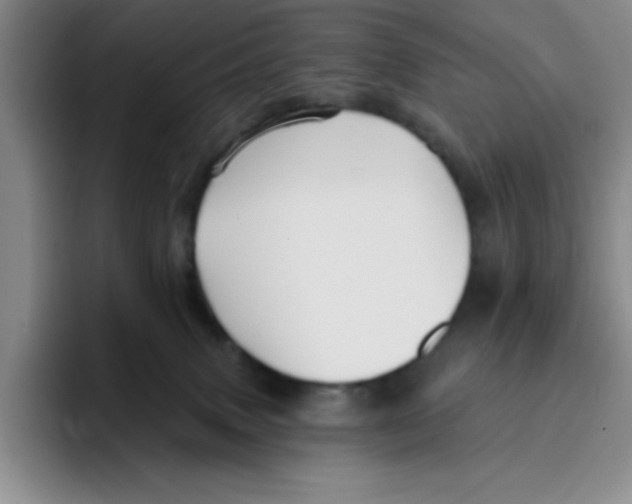 X0000096170083200802151443