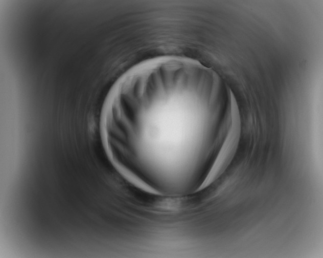 X0000096170084200802151443