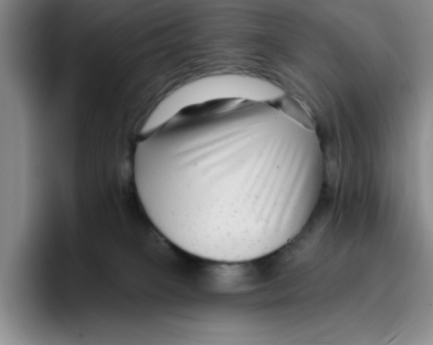 X0000096170085200802151443