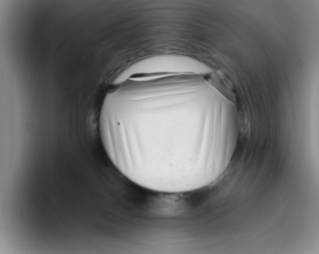 X0000096170086200802151443