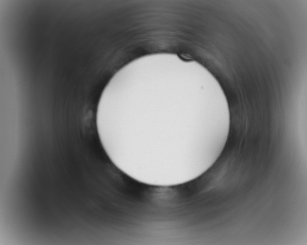 X0000096170087200802151443