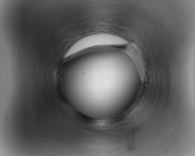 X0000096170088200802151443