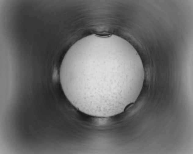 X0000096170089200802151443