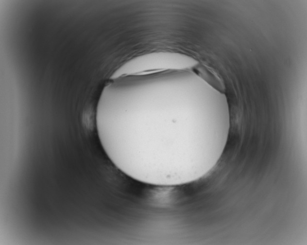X0000096170090200802151443