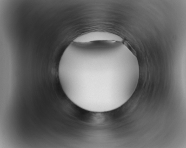 X0000096170091200802151443