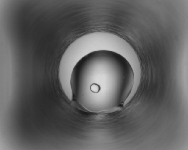 X0000096170092200802151443