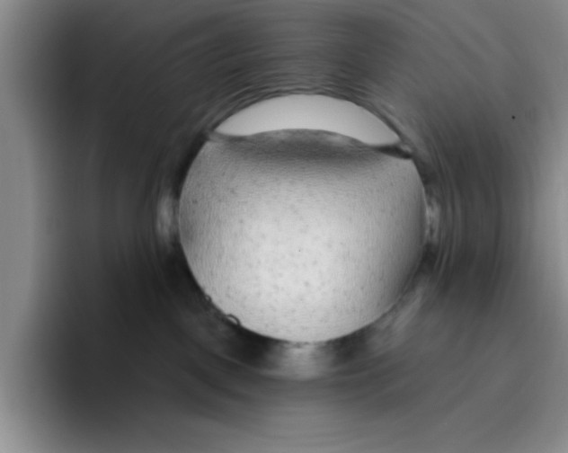 X0000096170093200802151443