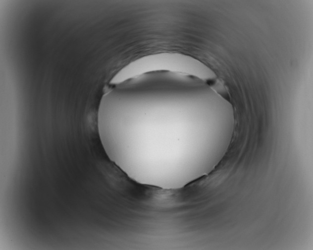 X0000096170096200802151443