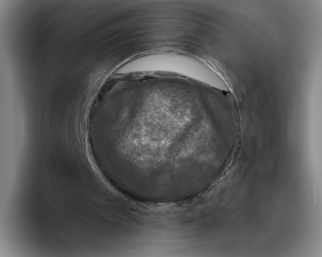 X0000096170097200802151443