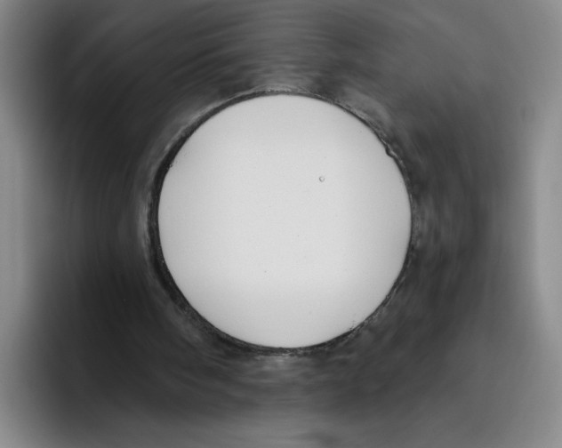 X0000096170098200802151443