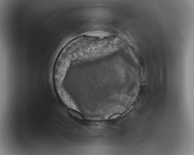 X0000096170099200802151443
