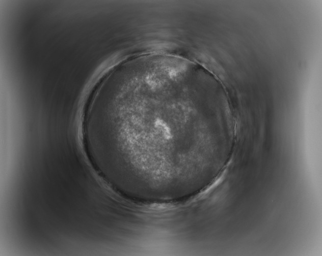 X0000096170101200802151443